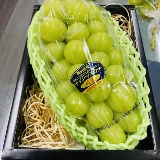 <img class='new_mark_img2' src='https://img.shop-pro.jp/img/new/icons62.gif' style='border:none;display:inline;margin:0px;padding:0px;width:auto;' />ξʲ