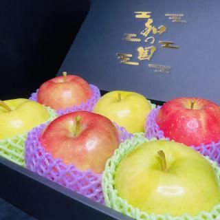 2å12<img class='new_mark_img2' src='https://img.shop-pro.jp/img/new/icons62.gif' style='border:none;display:inline;margin:0px;padding:0px;width:auto;' />ξʲ