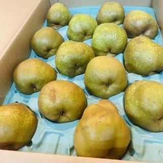 顦ե5Ȣ<img class='new_mark_img2' src='https://img.shop-pro.jp/img/new/icons62.gif' style='border:none;display:inline;margin:0px;padding:0px;width:auto;' />ξʲ