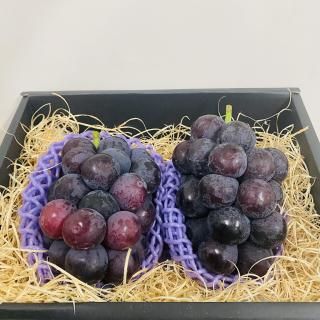 Ĺԥ2˼2Ȣå<img class='new_mark_img2' src='https://img.shop-pro.jp/img/new/icons62.gif' style='border:none;display:inline;margin:0px;padding:0px;width:auto;' />ξʲ