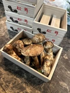 񻺾300g<img class='new_mark_img2' src='https://img.shop-pro.jp/img/new/icons62.gif' style='border:none;display:inline;margin:0px;padding:0px;width:auto;' />ξʲ