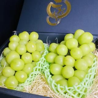 Ĺ㥤ޥå2˼<img class='new_mark_img2' src='https://img.shop-pro.jp/img/new/icons62.gif' style='border:none;display:inline;margin:0px;padding:0px;width:auto;' />ξʲ