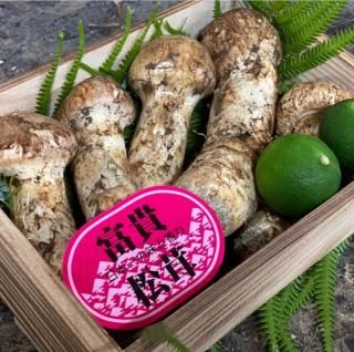 񻺾400g<img class='new_mark_img2' src='https://img.shop-pro.jp/img/new/icons62.gif' style='border:none;display:inline;margin:0px;padding:0px;width:auto;' />ξʲ