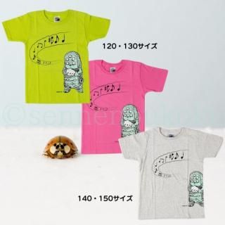 <img class='new_mark_img1' src='https://img.shop-pro.jp/img/new/icons1.gif' style='border:none;display:inline;margin:0px;padding:0px;width:auto;' />ɴܤλҡԥġҶ