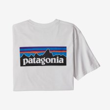 Patagonia  メンズ・P-6ロゴ・ポケット・レスポンシビリティー
