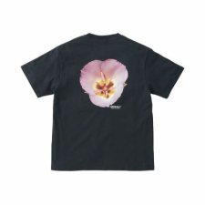 <img class='new_mark_img1' src='https://img.shop-pro.jp/img/new/icons1.gif' style='border:none;display:inline;margin:0px;padding:0px;width:auto;' />GRAMICCI    FLOWER TEE｜フラワーTシャツ