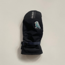 <img class='new_mark_img1' src='https://img.shop-pro.jp/img/new/icons16.gif' style='border:none;display:inline;margin:0px;padding:0px;width:auto;' />2024-25  VOLUME GLOVES / STANDARD MITT PRO [ GORE-TEX ] BLACK