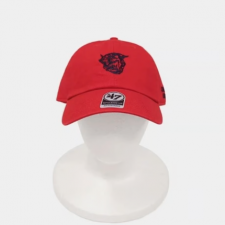 <img class='new_mark_img1' src='https://img.shop-pro.jp/img/new/icons1.gif' style='border:none;display:inline;margin:0px;padding:0px;width:auto;' />ORIGINAL Charcoal Americana / Leopards 47 Cap