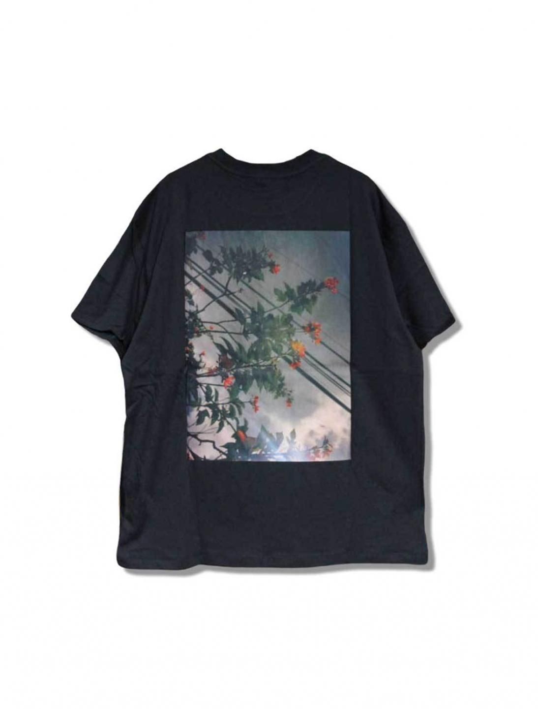 FOG ESSENTIALS BOXY PHOTO SERIES T-SHIRT / バックボクシー FOG ESSENTIALS BOXY PHOTO SERIES T-SHIRT / バックボクシー