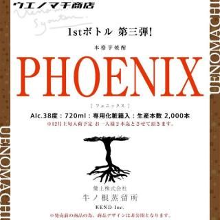 <img class='new_mark_img1' src='https://img.shop-pro.jp/img/new/icons29.gif' style='border:none;display:inline;margin:0px;padding:0px;width:auto;' /> ͽ 12ͽ  PHOENIX ե˥å 38 720ml ѲȢ κα 1stܥȥ  ե  2 