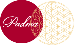 【padma】 パドマ｜ラクシュミー eco・veda;(ヘナ)｜ヒーリング｜マルコ二クス｜福岡