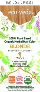 �ѥå��������Ѥ��ޤ�����<br>�������������� �������˥å��ϡ��Х�إ����顼���֥����