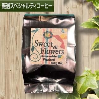 ӥ ȡե ڥꥶ ʥӥåå[100g]