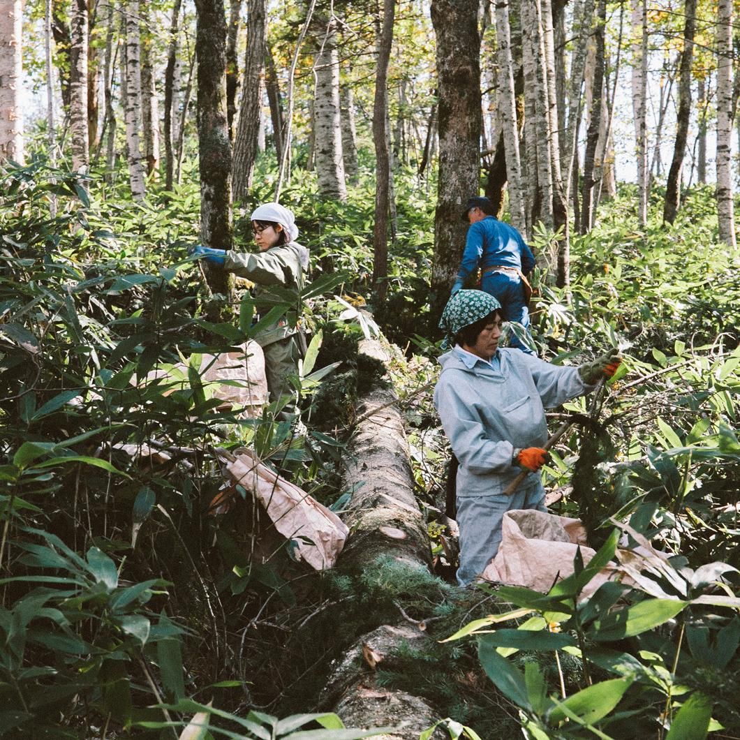 EVERYSON 化粧水 200ml ＆＆ウォータープロ（華子ママ様】 EVERYSON 化粧水 200ml ＆＆ウォータープロ（華子ママ様】