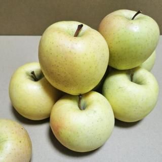 ߤȡSȢ3kg / 9-11 / 11-