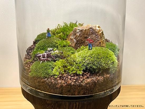 ★めまさんさま専用★【源流苔№740】テラリウム用苔セット（5種9P） ☆めまさんさま専用☆【源流苔№740】テラリウム用苔セット（5種