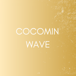 cocomin waveLINE60ʬѡեȥץ