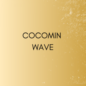 Ż뺧ĥåȡʤɤ餫12000ߢ9500ߡcocomin wave