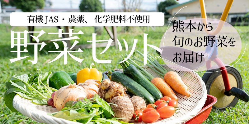 有機JAS 栽培期間中農薬、化学肥料不使用　野菜セット　熊本から旬の野菜をお届け