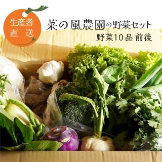 ＜予約・直送＞菜の風農園の野菜セット