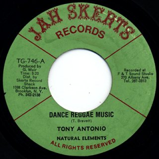 TONY ANTONIO / NATURAL ELEMENTS - DANCE REGGAE MUSIC (7