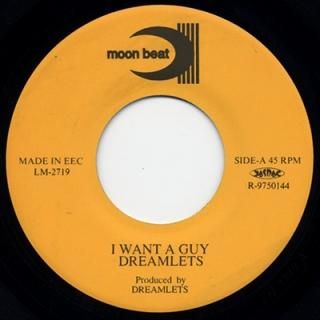 DREAMLETS - I WANT A GUY (7