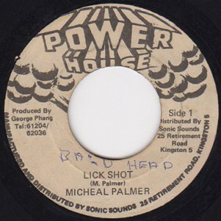 MICHAEL PALMER - LICK SHOT (7