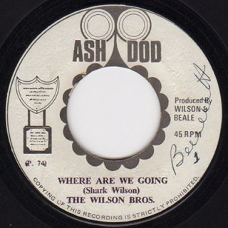 THE WILSON BROS. - WHERE ARE WE GOING (7