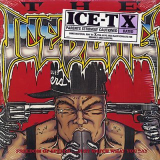 ICE-T - THE ICEBERG (Freedom Of Speech... Just Watch What You Say) (LP)