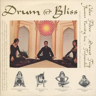V.A. - DRUM & BLISS (12