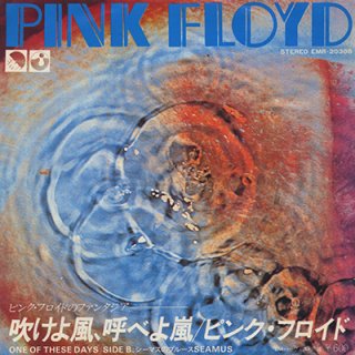 ピンク・フロイド - 吹けよ風、呼べよ嵐  PINK FLOYD - ONE OF THESE DAYS (7