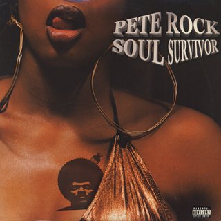 PETE ROCK - SOUL SURVIVOR (2LP)