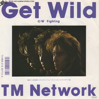 TM ͥåȥ - åȡ磻ɡTM NETWORK - GET WILD (7