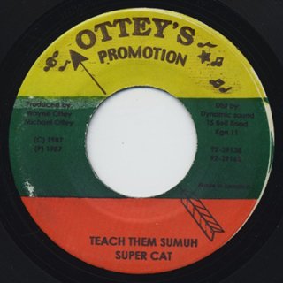 SUPER CAT - TEACH THEM SUMUH (7