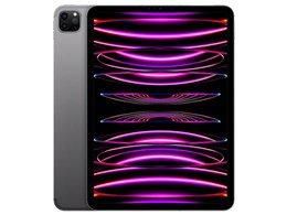 Apple iPad Pro 11インチ 第3世代 Wi-Fi 2TB 2021年春モデル Apple iPad Pro 11インチ 第3世代 Wi-Fi 2TB 2021年春モデル