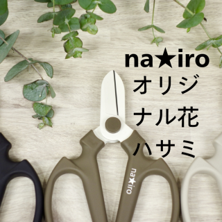 主 nairoβ֤Ϥ ڤϤ 襱դ ϥɥꥨ 