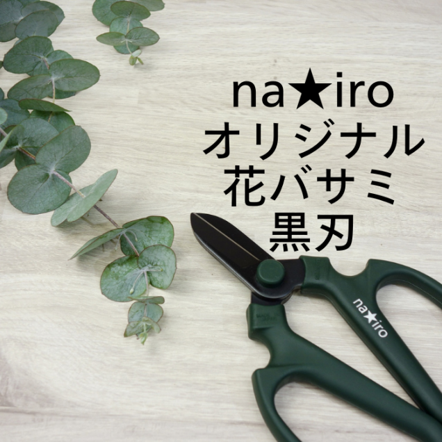 主 nairoβ֤Ϥ߹ ڤϤ 襱դ ϥɥꥨ
