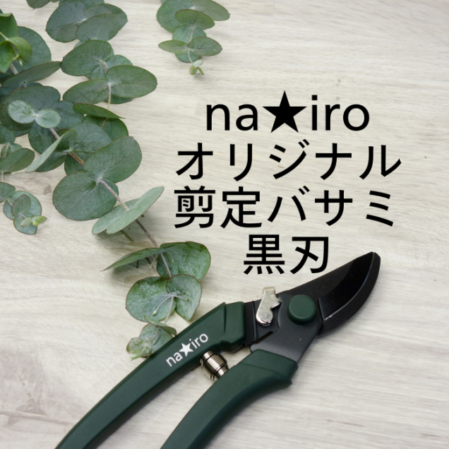 主 nairoХ߹ ڤϤ ϥɥꥨ