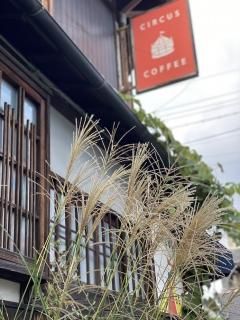 <img class='new_mark_img1' src='https://img.shop-pro.jp/img/new/icons25.gif' style='border:none;display:inline;margin:0px;padding:0px;width:auto;' />Υ֥ ɽͼ