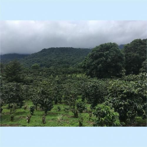 ̸ꡪۥ󥸥饹륵ࡡѥۥ󥸥饹֡󶡥ҡ