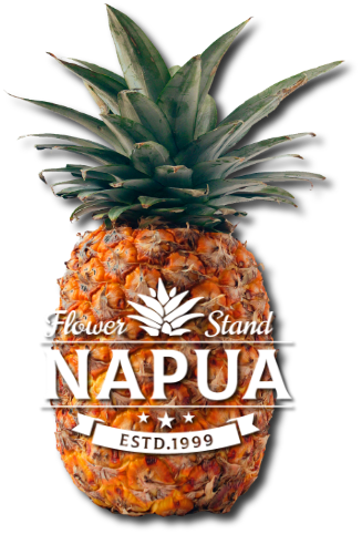 ŸŻԤβֲ եNaPuAʥץ