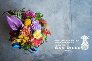 ե˥ 󥸥ȥեSan Diego Five-0