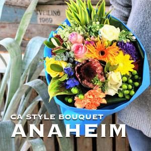 ե˥ ֡ AnaHeim