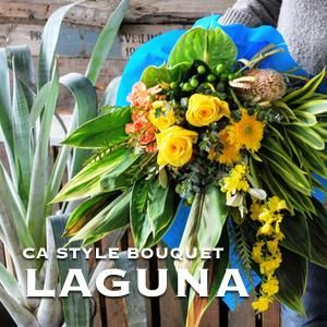 ե˥ ֡ Laguna
