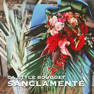 ե˥ ֡ SanClemente