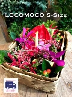 ϥ磻ܥåեLocomocoS