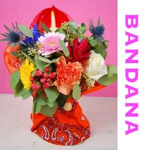 ե˥« Bandana