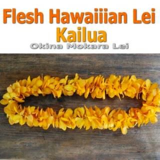 ϥ磻쥤 Kailua