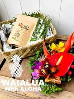 ֤ȥҡALOHA
=WAIALUA £ʪ=