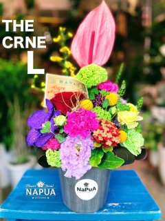 Thanks MOM! THE CRNE -L- Pick UpŹƬϤ5/12-5/15